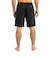 Quiksilver EVERYDAY SOLID VOLLEY 19 メンズ ボードショーツ