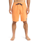 Quiksilver EVERYDAY SOLID VOLLEY 19 メンズ ボードショーツ