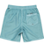 Quiksilver EVERYDAY SURFWASH VOLLEY 17NB メンズ ボードショーツ