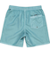 Quiksilver EVERYDAY SURFWASH VOLLEY 17NB メンズ ボードショーツ
