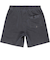 Quiksilver EVERYDAY SURFWASH VOLLEY 17NB メンズ ボードショーツ