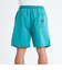 Quiksilver TAXER WS メンズ ボトムス ショーツ ハーフパンツ