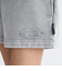 【DC ディーシー公式通販】ディーシー （DC SHOES）DC Shoes 25 WS HIDDEN FLEECE SHORT ウィメンズ ショーツ