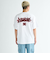【DC ディーシー公式通販】ディーシー （DC SHOES）DC Shoes 25 GRAFFITTI SS メンズ Tシャツ