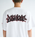 【DC ディーシー公式通販】ディーシー （DC SHOES）DC Shoes 25 GRAFFITTI SS メンズ Tシャツ