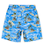 Quiksilver EVERYDAY STRAIGHT VL 19 メンズ ボードショーツ