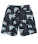 Quiksilver EVERYDAY STRAIGHT VL 19 メンズ ボードショーツ