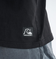 Quiksilver DNA HISTORY PIGMENT ST メンズ Tシャツ
