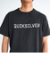 Quiksilver DNA BIG CLICKER ST メンズ Tシャツ