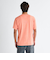 Quiksilver DNA BUBBLE LOGO ST メンズ Tシャツ