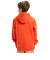 【オンラインストア限定】Quiksilver BIG LOGO HOODIE YOUTH キッズ トップス