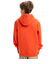 【オンラインストア限定】Quiksilver BIG LOGO HOODIE YOUTH キッズ トップス