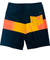 Quiksilver SURFSILK STRAIGHT LEG 20 メンズ ボードショーツ