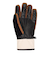 DC SHOES メンズ FRANCHISE GLOVE スノーグローブ 【25-26SNOWモデル】