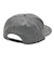 【DC ディーシー公式通販】ディーシー （DC SHOES）DC Shoes 25 DOUBLEUP SNAPBACK キャップ ウィメンズ