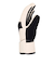 DC SHOES ウィメンズ FRANCHISE WMNS GLOVE スノーグローブ 【25-26SNOWモデル】