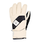DC SHOES ウィメンズ FRANCHISE WMNS GLOVE スノーグローブ 【25-26SNOWモデル】