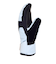 DC SHOES ウィメンズ FRANCHISE WMNS MITTEN スノーグローブ 【25-26SNOWモデル】