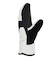 DC SHOES ウィメンズ FRANCHISE WMNS MITTEN スノーグローブ 【25-26SNOWモデル】