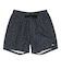 Quiksilver 【オンラインストア・直営店限定】 EVERYDAY STRAIGHT VOLLEY 17NB ボードショーツ メンズ
