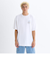 【DC ディーシー公式通販】ディーシー （DC SHOES）【OUTLET】DC Shoes 25 CT FIERY SS