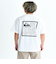 Quiksilver DISTORTED BOX ST Tシャツ メンズ