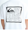 Quiksilver DISTORTED BOX ST Tシャツ メンズ