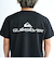 Quiksilver DOUBLE LOGO ST Tシャツ メンズ