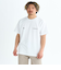 Quiksilver DOUBLE LOGO ST Tシャツ メンズ