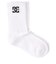【DC ディーシー公式通販】ディーシー （DC SHOES）DC Shoes SPP DC CREW 3PK BOY ソックス 靴下 キッズ
