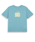 【オンラインストア限定】 DC Shoes THE SWARM DC SHOES X GRIMEY REGULAR TEE Tシャツ メンズ