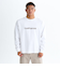 Quiksilver SNAKE TYPE LT 長袖Tシャツ メンズ