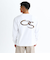 Quiksilver SNAKE TYPE LT 長袖Tシャツ メンズ