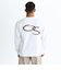 Quiksilver SNAKE TYPE LT 長袖Tシャツ メンズ