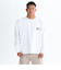 Quiksilver TC DISTORTED BOX LT 長袖Tシャツ メンズ