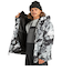 DC SHOES メンズ BASIS PRINT JACKET スノージャケット 【25-26SNOWモデル】