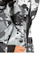 DC SHOES メンズ BASIS PRINT JACKET スノージャケット 【25-26SNOWモデル】