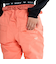 ROXY ウィメンズ SNOWHOLIC PT スノーパンツ パウダーガード ジャパンフィット 【25-26SNOWモデル】