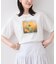 フォト＆ロゴアソートプリントTシャツ/接触冷感・汗染み防止