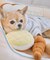 【DOG】わんわんベーカリー