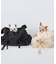 【DOG】【Casselini/キャセリーニ別注】リボンキャリーバック
