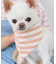 【DOG】バンダナ スカーフ