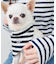 【DOG】バンダナ スカーフ