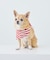 【DOG】バンダナ スカーフ