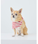 【DOG】バンダナ スカーフ