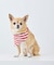 【DOG】バンダナ スカーフ