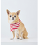 【DOG】バンダナ スカーフ