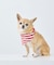 【DOG】バンダナ スカーフ