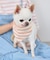 【DOG】バンダナ スカーフ