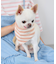 【DOG】バンダナ スカーフ